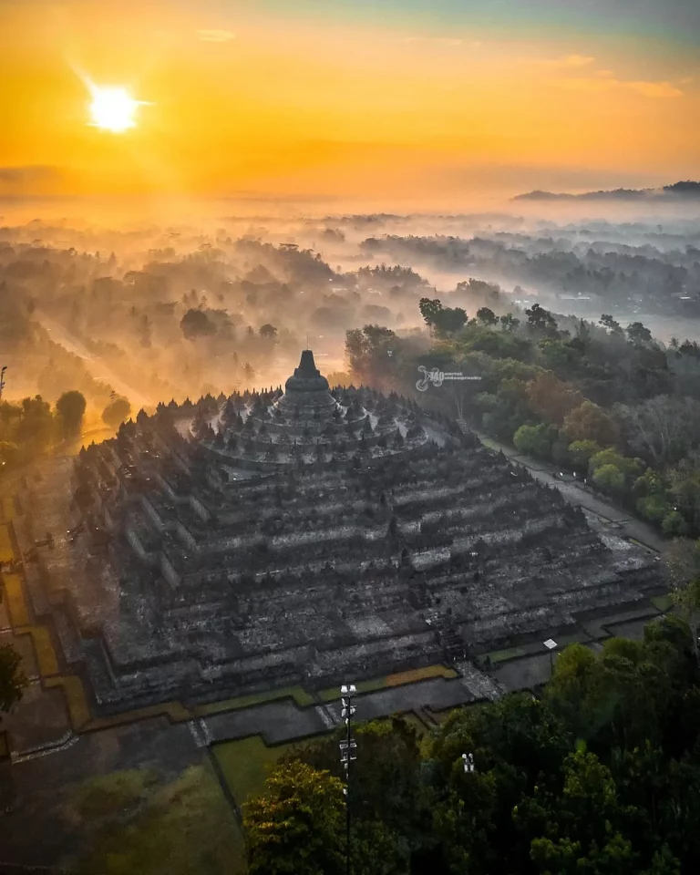 Move at The Temple : The Temple Within